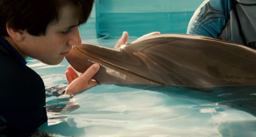 Dolphin Tale was inspired by a true story.