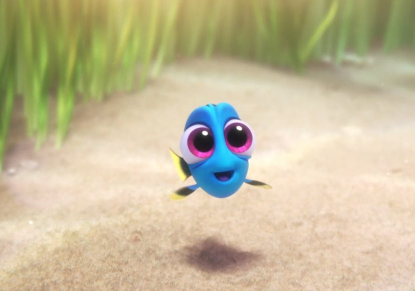 Finding Dory is a sequel to Pixar's Finding Nemo.
