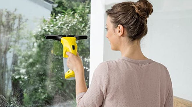 Karcher WV 1 Plus Window Vacuum