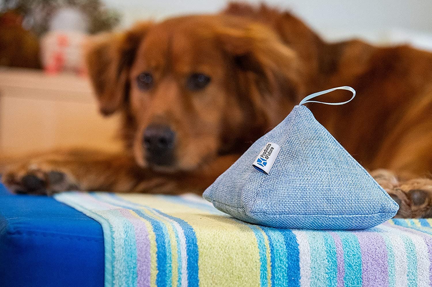 Products 4 Future Naturally Activated Bamboo Charcoal Air Purifying Bags (4 Pack)