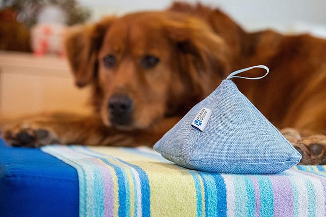 Products 4 Future Naturally Activated Bamboo Charcoal Air Purifying Bags (4 Pack)