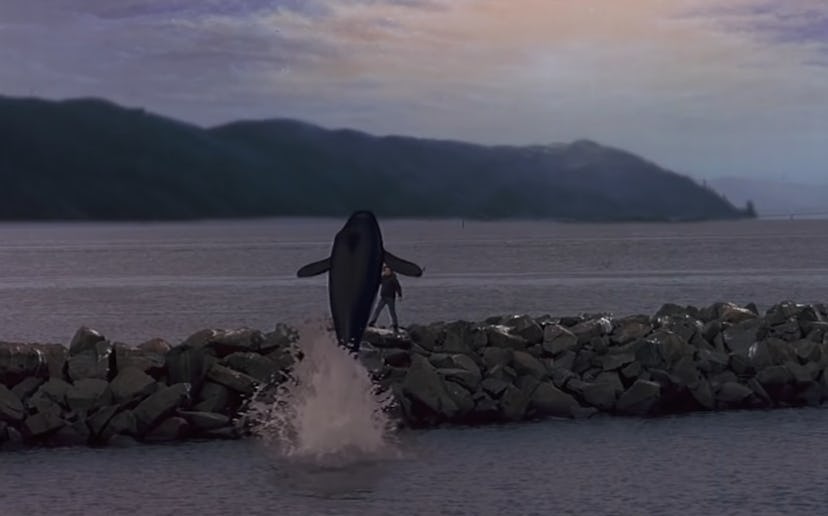 Free Willy is the original ocean movie for kids.