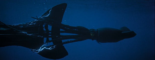 20,000 Leages Under the Sea is a classic ocean movie for kids.