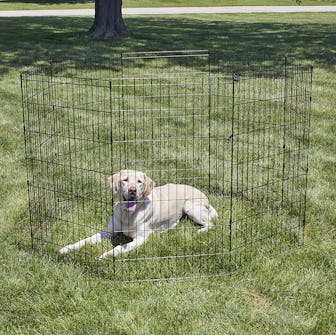 New World Pet Products Foldable Pet Playpen