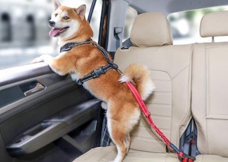 IOKHEIRA 3-In-1 Dog Seat Belt