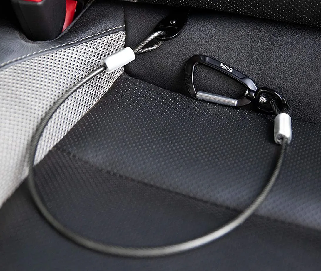 The 3 Best Dog Seat Belts