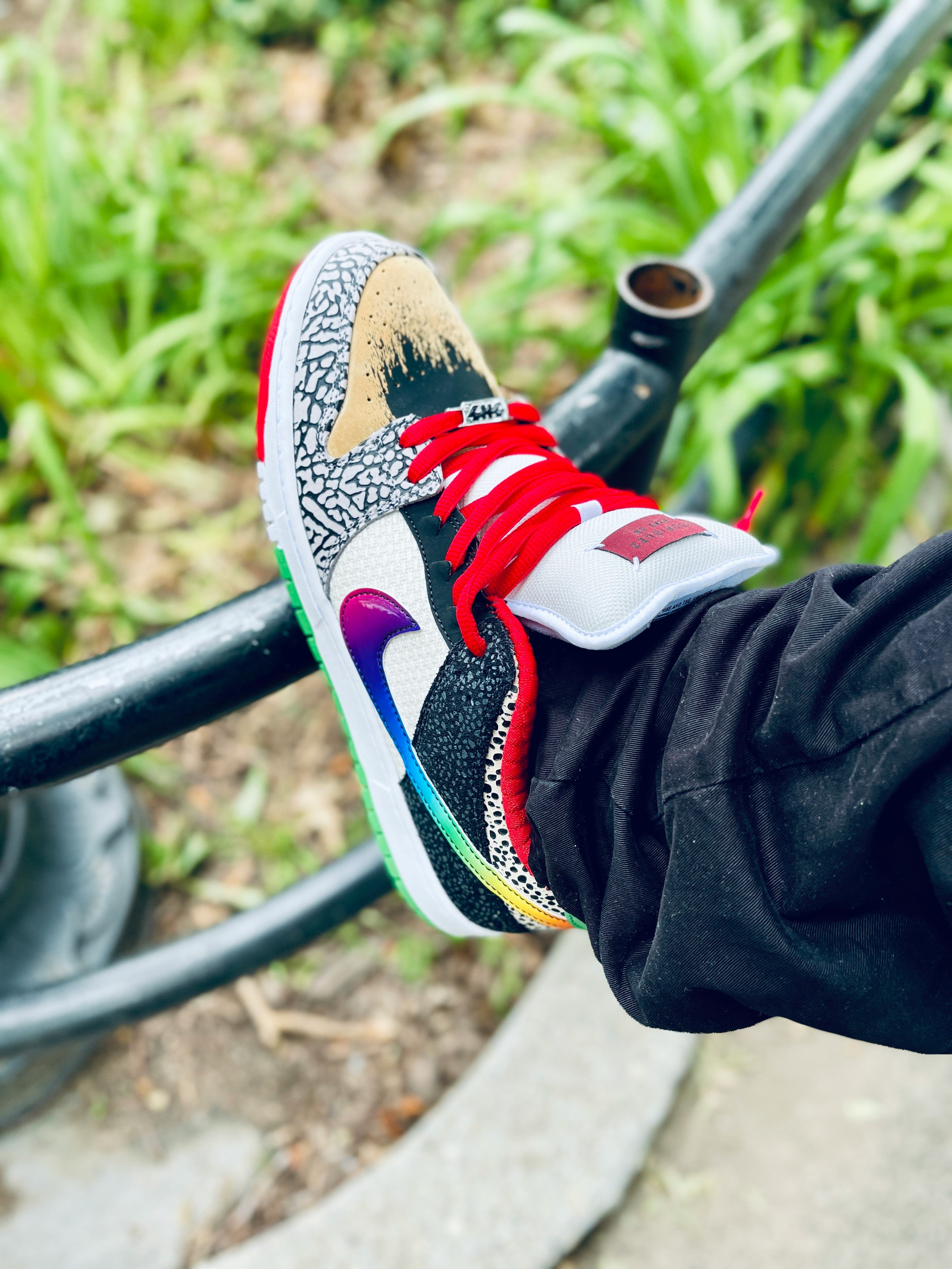 nike dunk what the paul on feet