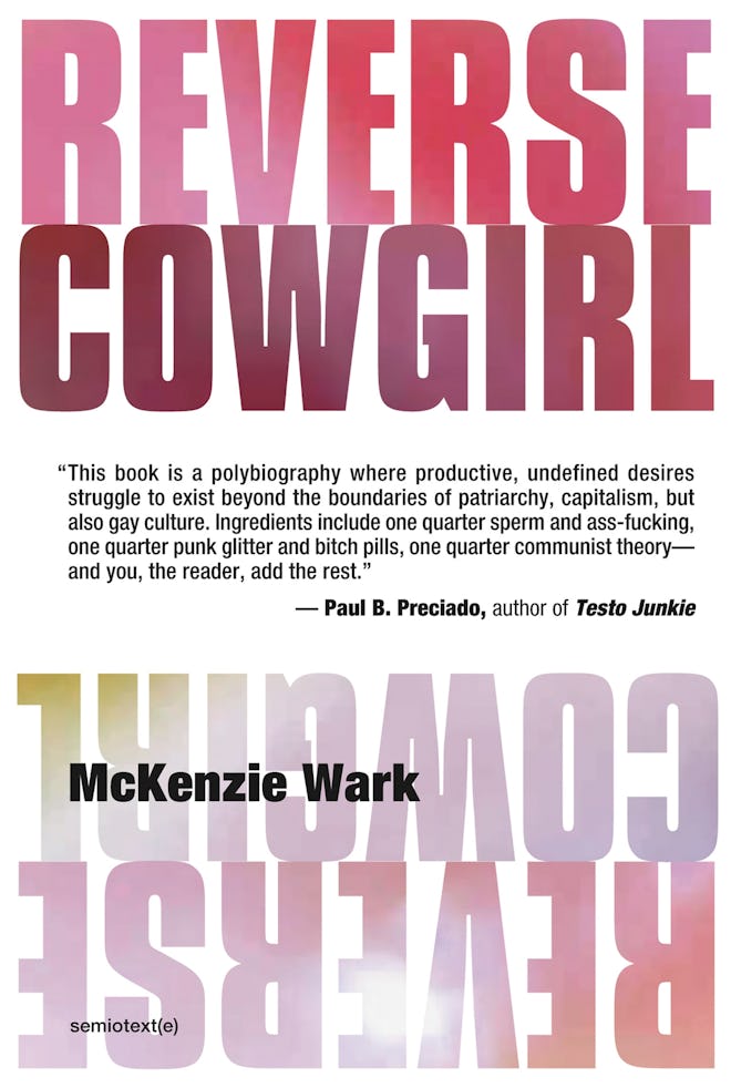 'Reverse Cowgirl' by McKenzie Wark