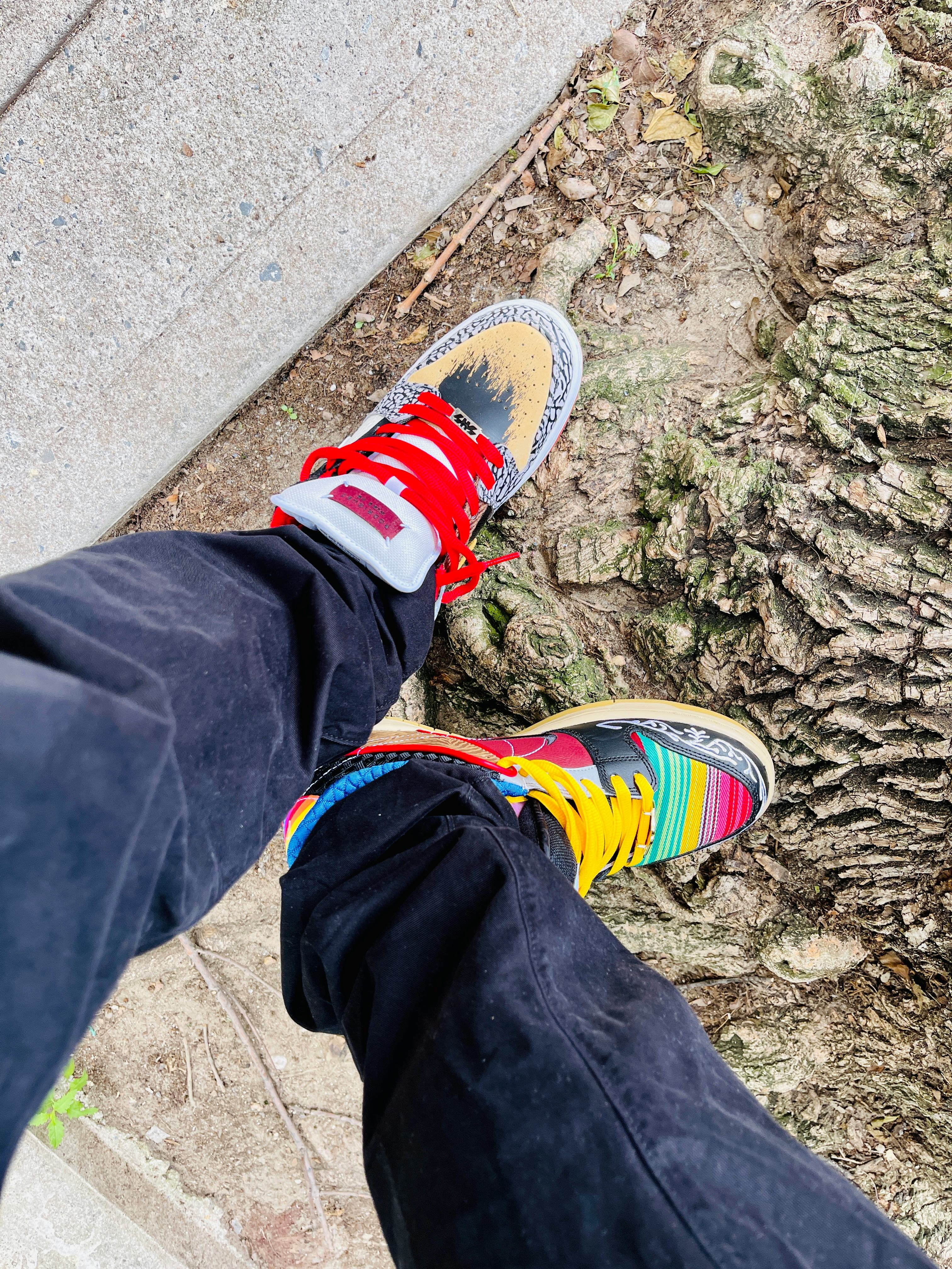 nike dunk what the paul on feet