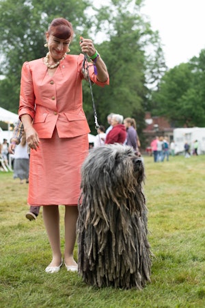 The Bergamasco is an ancient breed.
