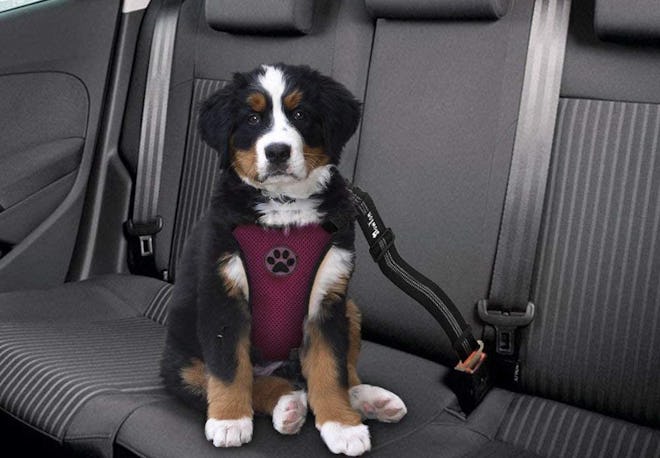 SlowTon Dog Car Harness