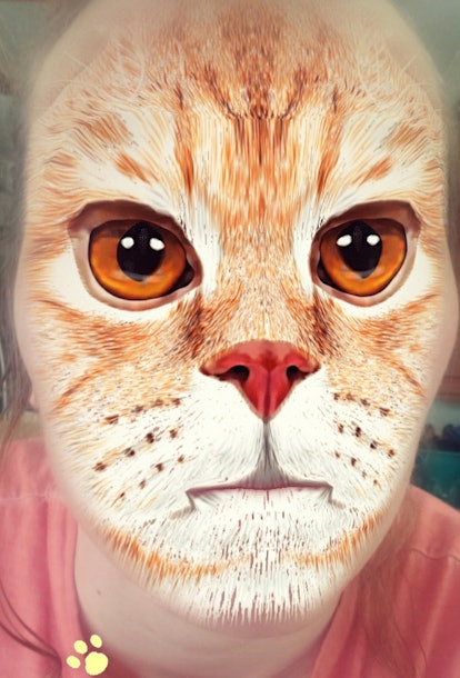 Here's how you can get a cat face filter on Snapchat to take funny vids.