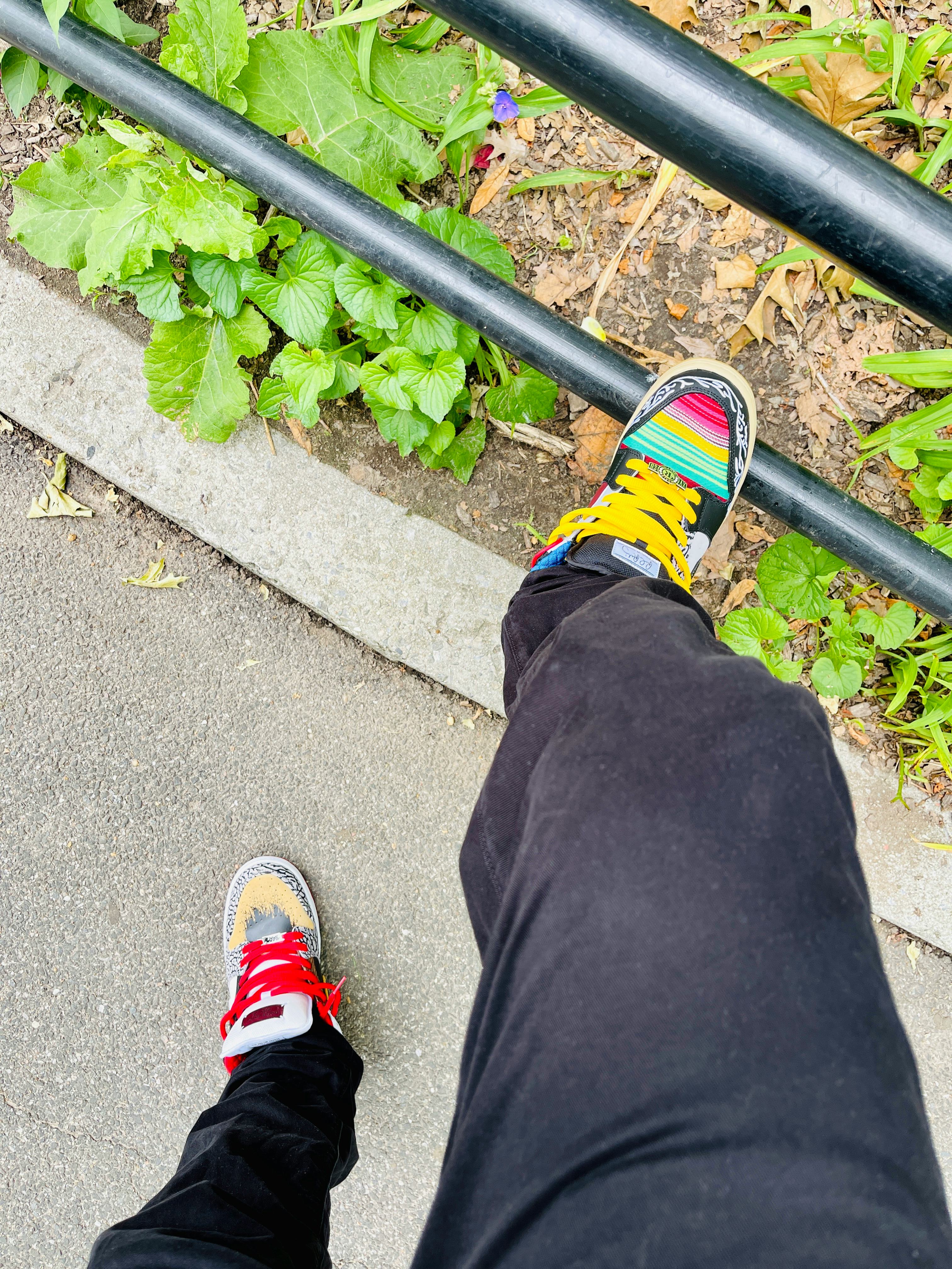 nike dunk what the paul on feet