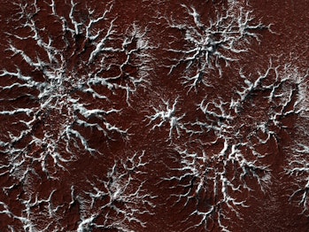 A close-up of the surface of Mars showing features created by the wind.