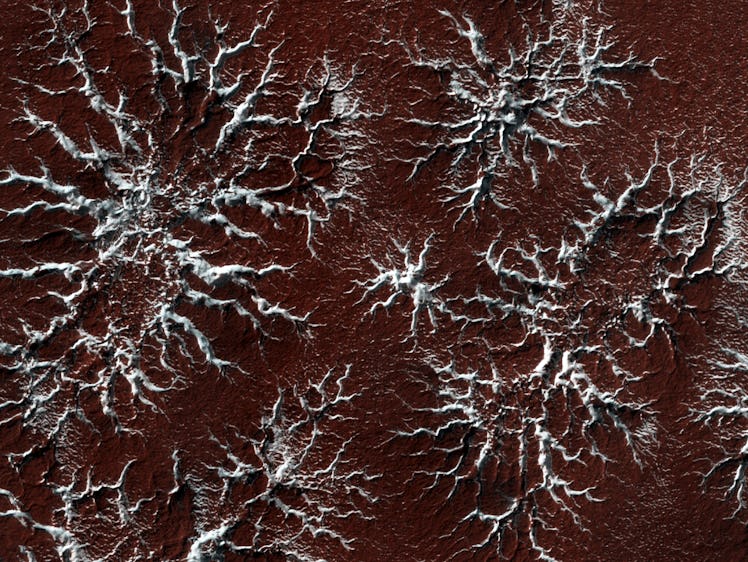 A close-up of the surface of Mars showing features created by the wind.