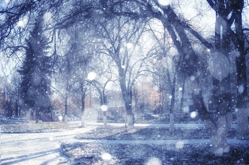A landscape photograph with orbs. What is an orb? Orbs have normal and paranormal explanations.