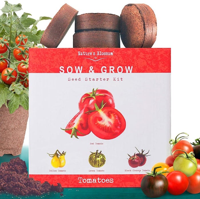 Natures Blossom Tomato Garden Kit