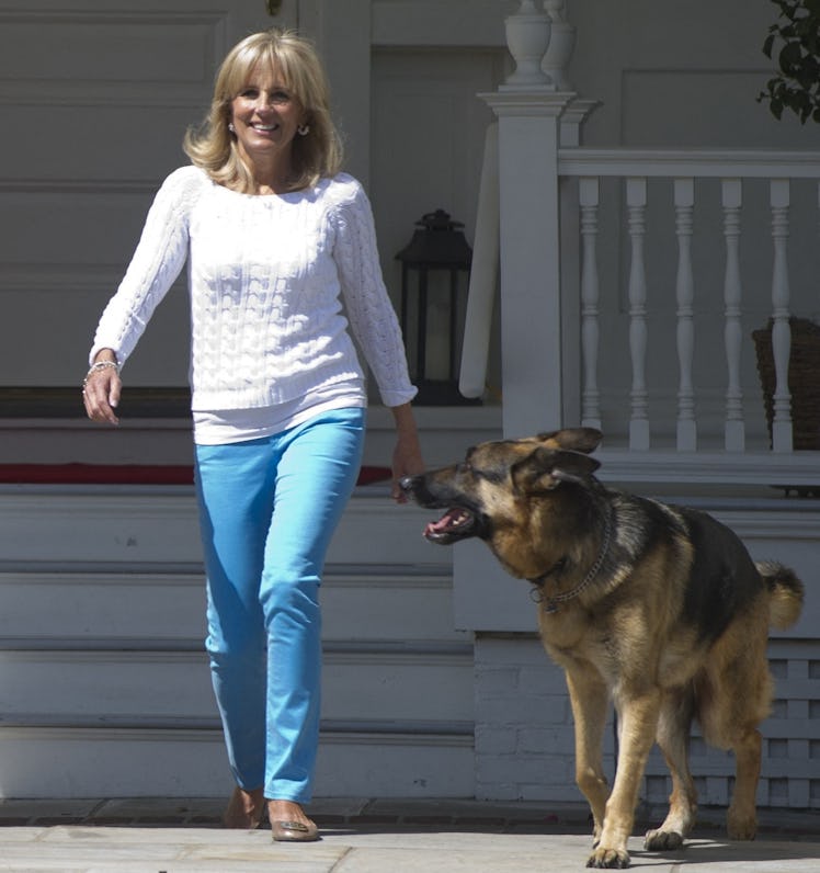 Jill Biden's Instagram about Champ's death is so sad.
