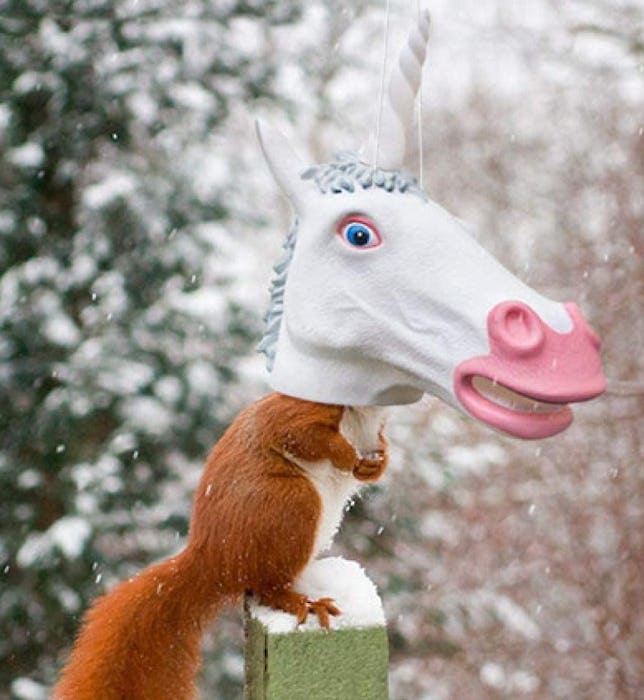 Archie McPhee LLC Squirrel Feeder Unicorn