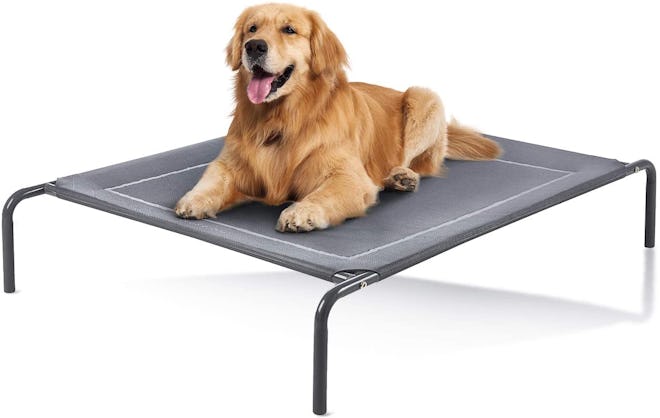 Love's Cabin Elevated Dog Bed