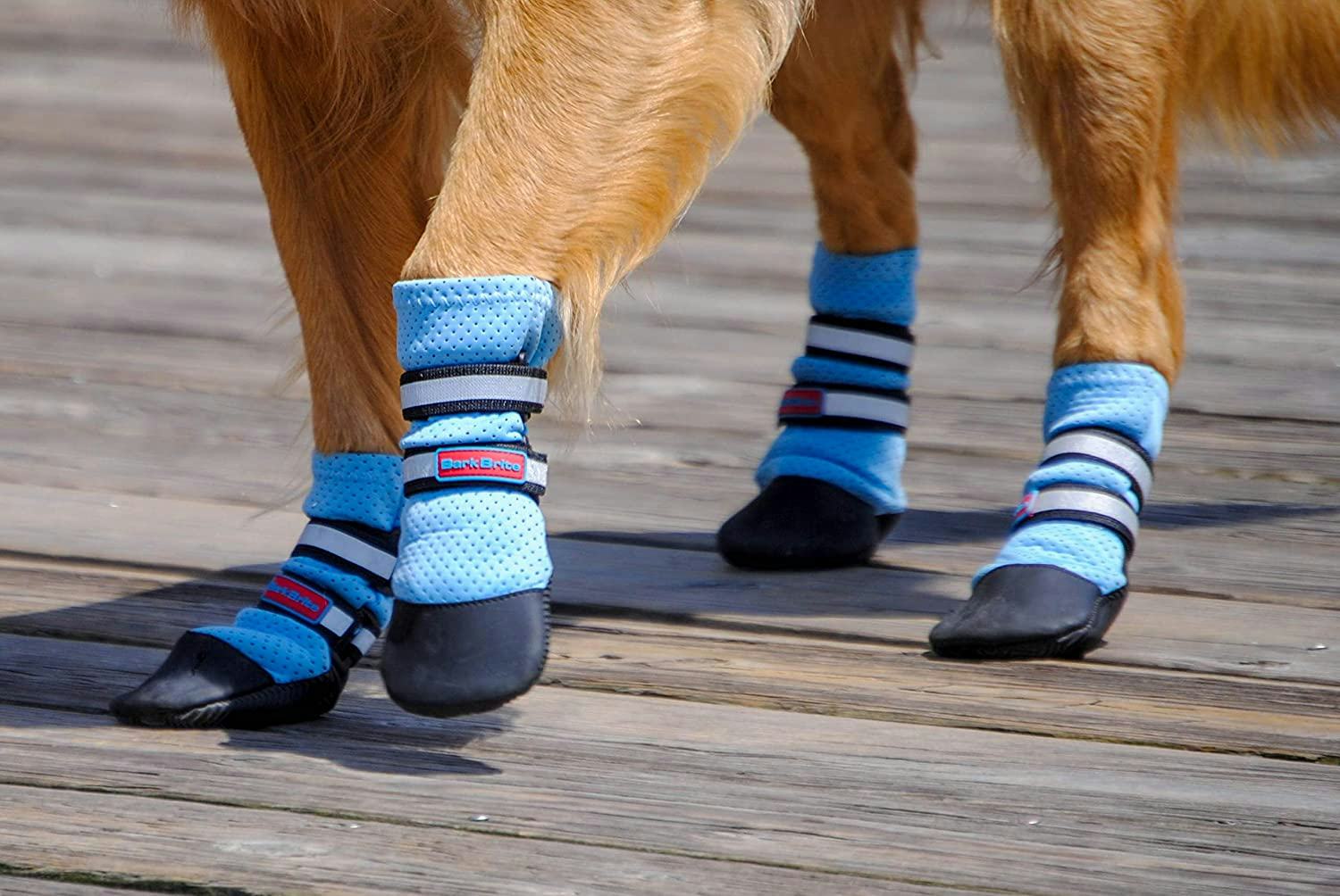 The 3 Best Dog Boots For Summer