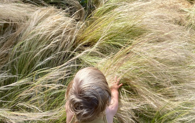 the author's daughter crawling in a field of grass, as seen from above 