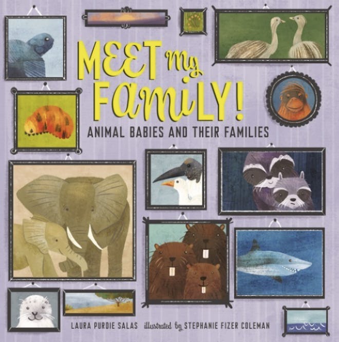 'Meet My Family! Animal Babies and Their Families' by Laura Purdie Salas and Stephanie Fizer Coleman...