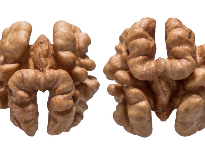 nuts