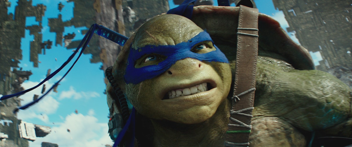 Seth Rogen's 'Teenage Mutant Ninja Turtles' reboot announces