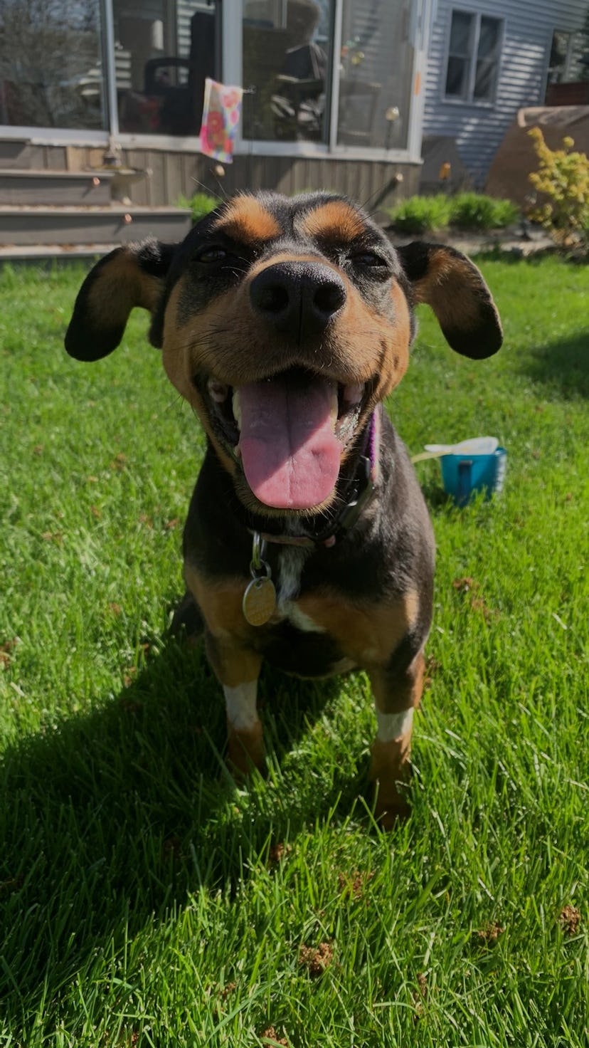 Dory, the day before her death