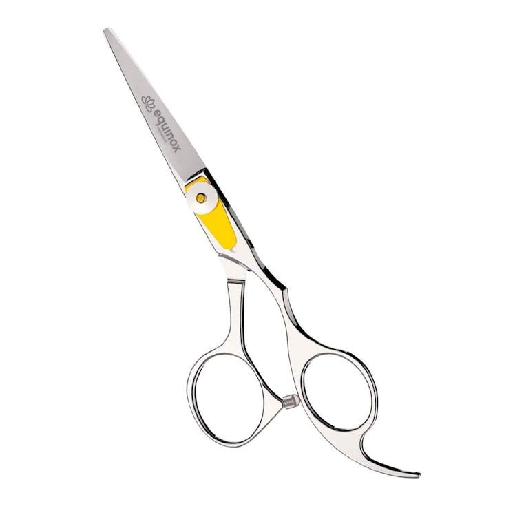 Equinox Professional Razor Edge Hair Cutting Scissors 