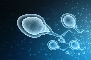Sperm swimming