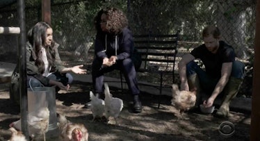  Oprah Winfrey visits Meghan Markle and Prince Harry's chicken farm.