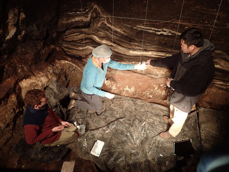 Scientists in Denisova Cave