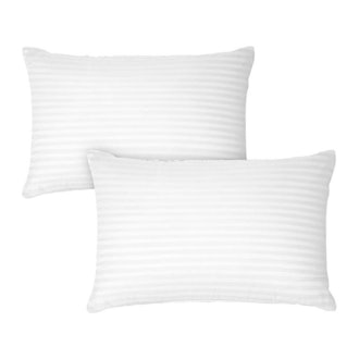 DreamNorth Premium Gel Pillow Loft (Pack of 2)