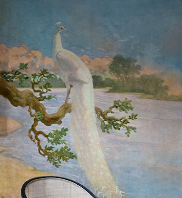 White Peacock Removable Mural
