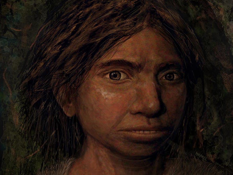 This image shows a portrait of a juvenile female Denisovan based on a skeletal profile reconstructed...
