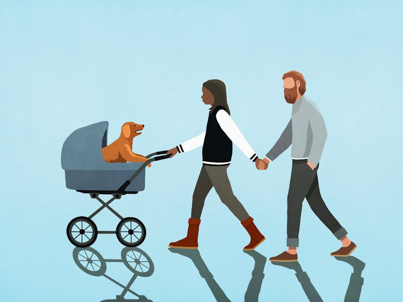 human parent pushing dog in baby stroller
