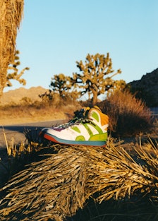 A colorful high-top sneaker sitting on top of a pile of dry grass in the afternoon sun.