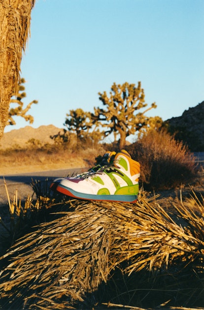 A colorful high-top sneaker sitting on top of a pile of dry grass in the afternoon sun.