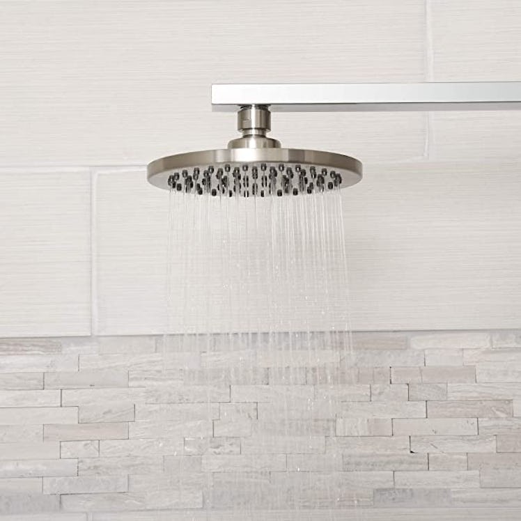 Amazon Basics Rain Shower Head