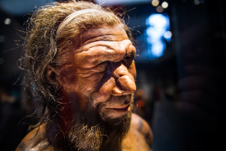 neanderthal reconstruction