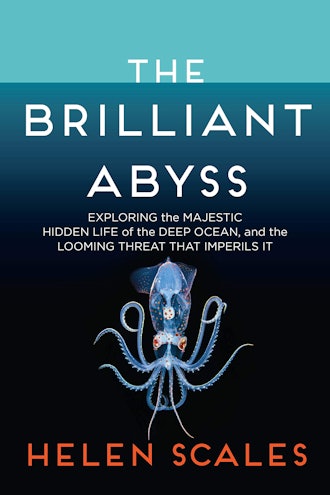 'The Brilliant Abyss: Exploring the Majestic Hidden Life of the Deep Ocean, and the Looming Threat T...