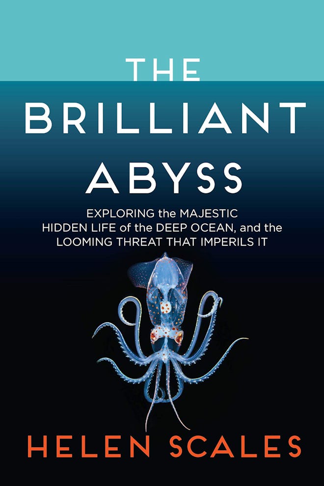 'The Brilliant Abyss: Exploring the Majestic Hidden Life of the Deep Ocean, and the Looming Threat T...