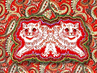 cats in psychedelic colors