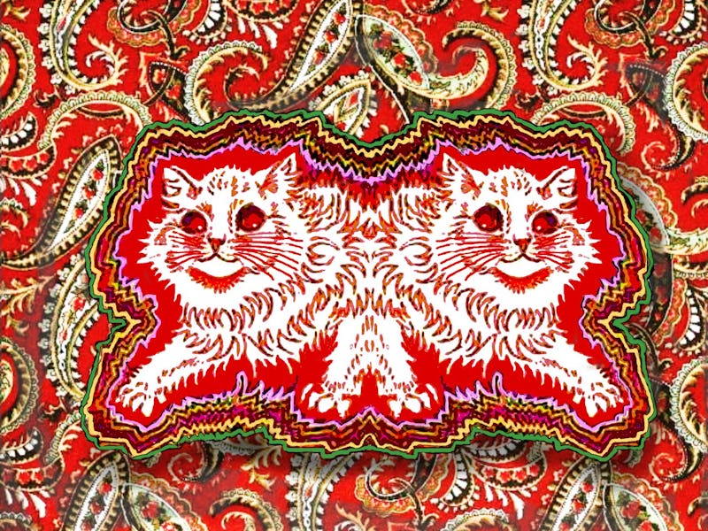 cats in psychedelic colors
