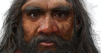 "Dragon man," the new ancient human.