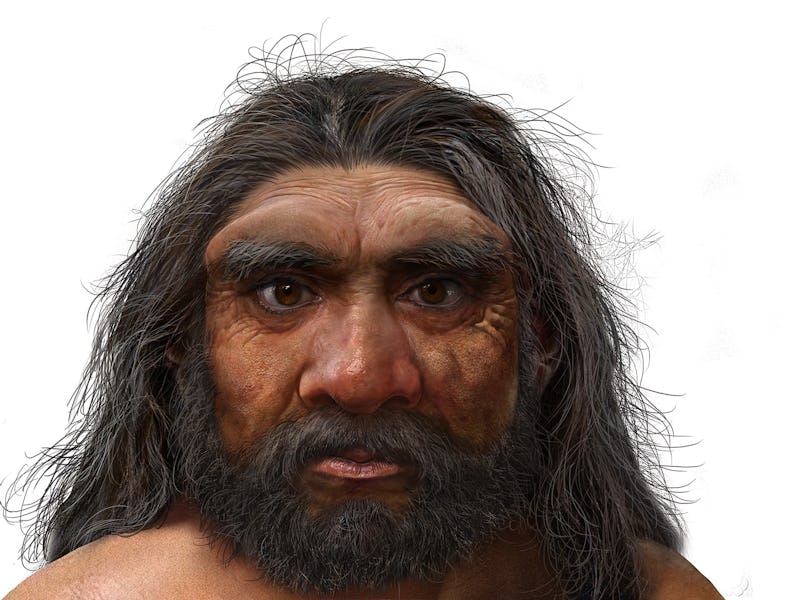 Dragon man, new ancient human