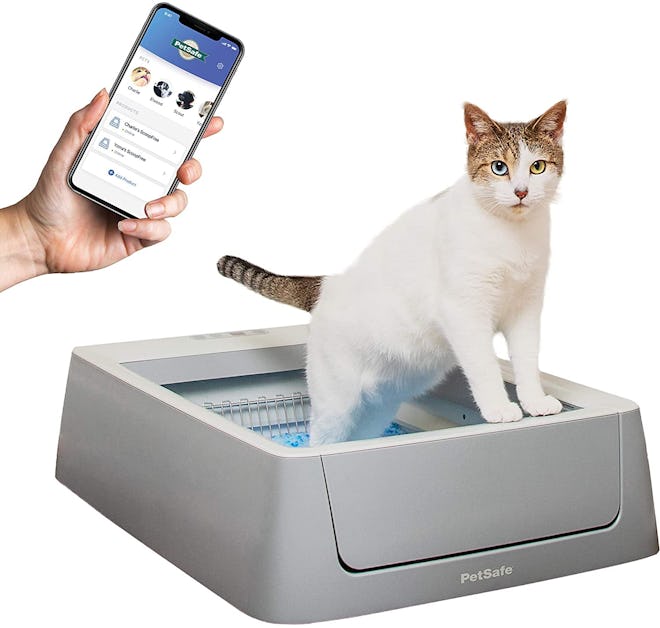 PetSafe ScoopFree Smart Automatic Self Cleaning Cat Litter Box 