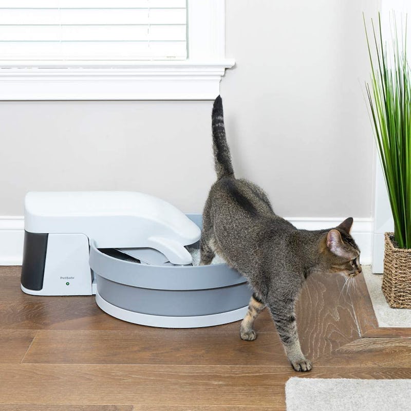 Automatic cat litter box amazon Clearance
